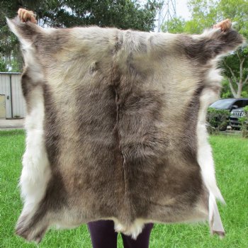 A-Grade Finland Reindeer Hide/Skin, 44" x 44" - $150