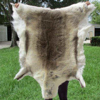 A-Grade Finland Reindeer Hide/Skin, 42" x 40" - $150