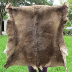A-Grade Finland Reindeer Hide/Skin, 40" x 40" - $150