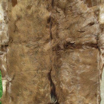 Black Wildebeest Skin, 48" x 33" - $100