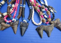 Wholesale Megalodon Shark tooth necklace 1 to 2 inch wrapped with silver colored wire on an assorted color necklace -  2 pcs @ $13.50 each; 8 pcs @ $12.00 each
