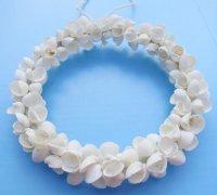8 inches Wholesale White Clamrose Shell Wreath made with white ribbed clam shells - 2 pcs @ $4.50 each 