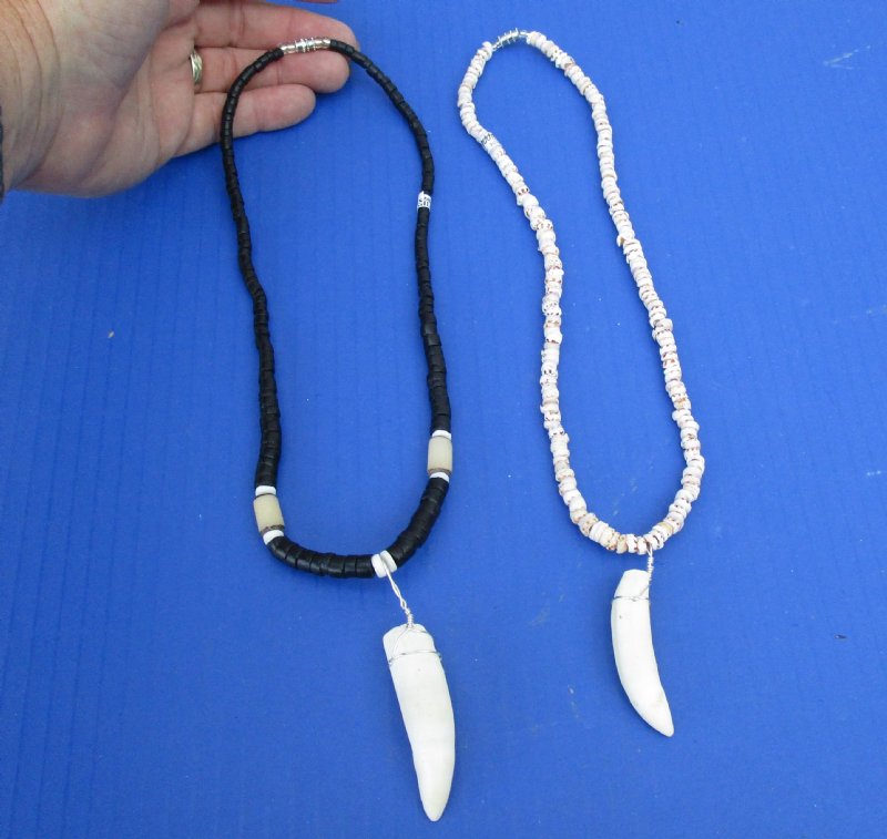 large alligator tooth necklace