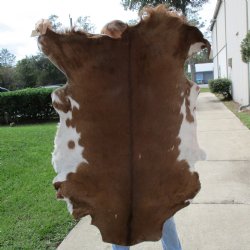 46-1/2" x 40" Goat Hide - $35