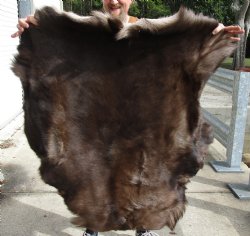 Nice Quality Reindeer pelt/hide/skin without legs, 46 inches long by 40 inches wide for sale $100