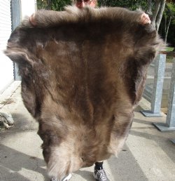 Nice Quality Reindeer pelt/hide/skin without legs, 46 inches long by 37 inches wide for $100