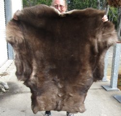 Nice Quality Reindeer pelt/hide/skin without legs, 49 inches long by 44 inches wide for $100