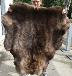 Nice Quality Reindeer pelt/hide/skin without legs, 48 inches long by 40 inches wide for $100