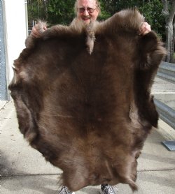 Nice Quality Reindeer pelt/hide/skin without legs, 46-1/2 inches long by 40 inches wide for sale $100