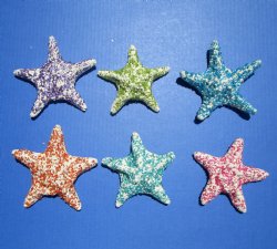 Wholesale assorted dyed jungle starfish covered with tiny dyed crushed shells 4 to 6 inches; Case of 203 pcs @ $1.20 each