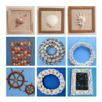 large seashell wall decor