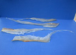 Wholesale Natural Deer Sinew, 15 to 24 inches - 2 pcs @ $8.75 each; 8 pcs @ $7.85 each