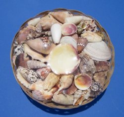 10 inch Wholesale baskets of sea shells for seashell wedding decor - 3 pcs @ $2.90 each