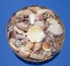 12 inches Round Wholesale Sea Shell Gift Baskets for Beach Wedding Centerpieces - Case of 6 pcs @ $3.35 each (Min: 3 case)