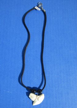 Wholesale 1" to 1-1/4" Extra Large Tiger shark tooth on 18" black cord necklace - 10 pcs @ $3.75 each: 40 pcs @ $3.25 each