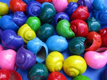 Wholesale dyed Pila Globosa or Apple snail Shells for Crafts in assorted colors 1-1/4" to 2" - 50 @ $.25 each; 200 pcs @ $.20 each