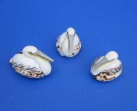 Wholesale 2-3/4 to 3-1/4 inches Painted Tiger Cowrie Pelican Novelties - 12 pcs @ $2.25 each; 60 pcs @ $2.00 each