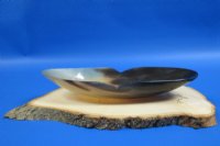 11 inches Wholesale Boat Shaped Buffalo Horn Bowls with "V" shape indentation on both sides - 2 pcs @ $12.50 each; 6 pcs @ $11.00 each