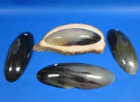 11 inches Wholesale Boat Shaped Buffalo Horn Bowls with "V" shape indentation on both sides - 2 pcs @ $12.50 each; 6 pcs @ $11.00 each