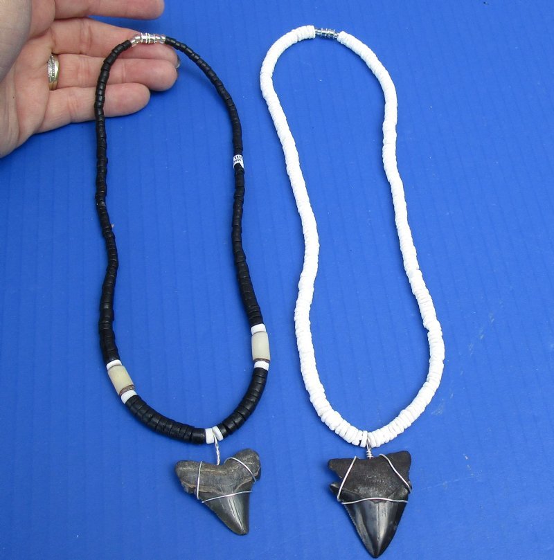Mega Shark Tooth Necklace | Trish Becker Jewelry