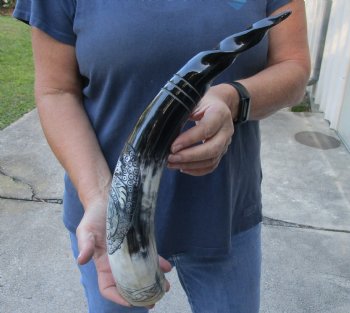 17 inch Polished Carved Bird Cattle/Cow horn - $26