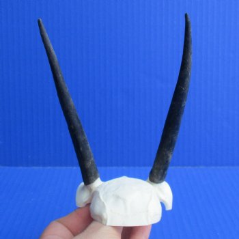 Steenbok Skull Plate with 4-1/2" Horns - $35