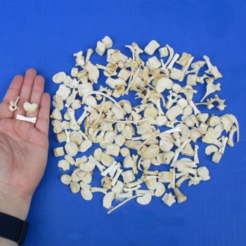 200 Assorted Small Animal Bones, under 1" - $30