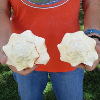 9" Chank Shells, 2pc - $26