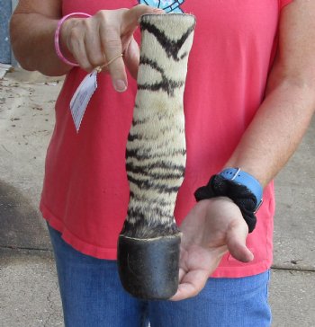 11 inch African Zebra Foot Mount For Sale for $59