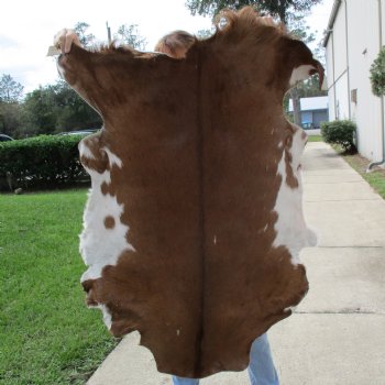 46-1/2" x 40" Goat Hide - $35