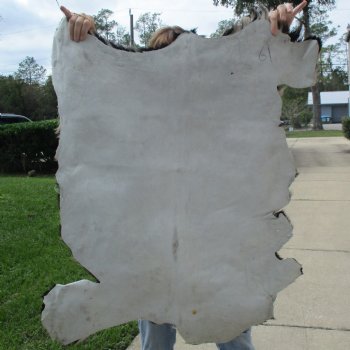 37" x 32" Goat Hide - $35