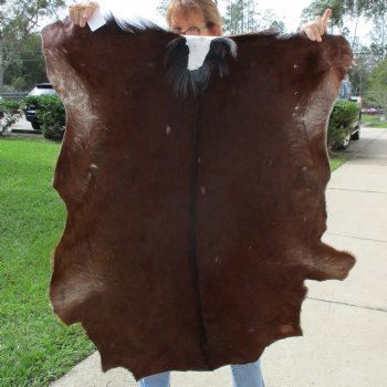 46" x 38" Goat Hide - $35