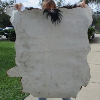 46" x 38" Goat Hide - $35