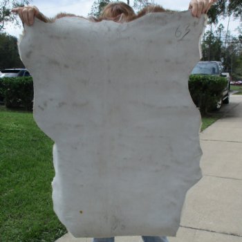 39-1/2" x 29" Goat Hide - $35