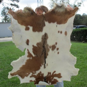 41" x 34-1/2" Goat Hide - $35