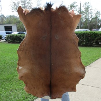 45" x 29" Goat Hide - $35