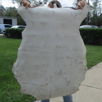 45" x 29" Goat Hide - $35