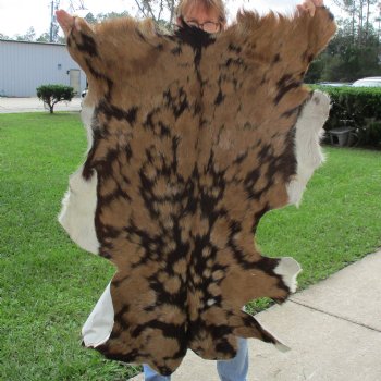 44" x 32-1/2" Goat Hide - $35