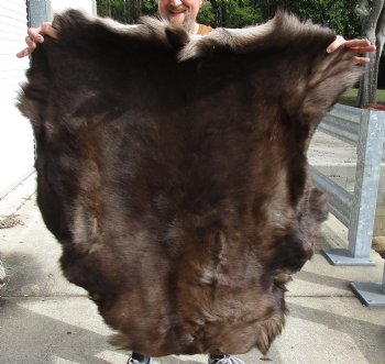 Nice Quality Reindeer pelt/hide/skin without legs, 46 inches long by 40 inches wide for sale $100