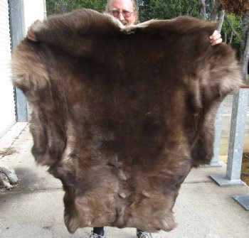 Nice Quality Reindeer pelt/hide/skin without legs, 49 inches long by 44 inches wide for $100