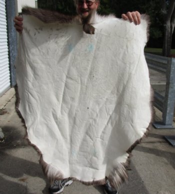 Nice Quality Reindeer pelt/hide/skin without legs, 48 inches long by 40 inches wide for $100