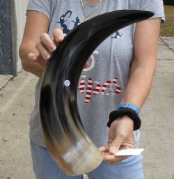 21 inch Polished Co...