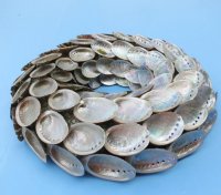 10 inches Abalone Shell Wreaths Wholesale for shell wall art or shell candle holder - Case of 16 pcs @ $7.00 each 