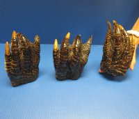 Wholesale Extra large alligator feet 5 inches to 7 inches long - Min: 2 pc @ $9.50 each; 10 pc or more @ $8.25 each (You will receive gator feet similar to those shown in the photos) 