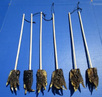 Wholesale Alligator Foot Backscratchers with 3 to 4 inches gator foot - 5 pcs @ $4.25 each; 25 pcs @ $3.75 each