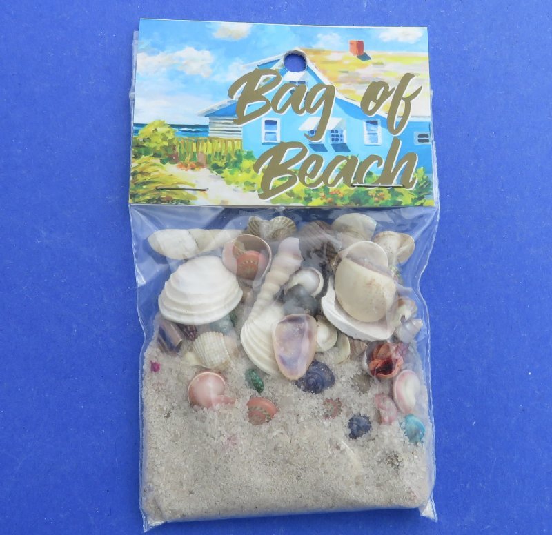 Assorted Shells | Small | Vinyl Bag