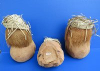 Wholesale coconut monkeys with bunch of bananas wearing straw hats - Bag of 15 pcs @ $3.50 each 