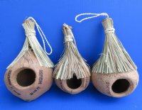 Wholesale Coconut Birdhouse"Tiki Hut" style - 6 pcs @ $2.75 each