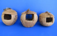 Wholesale Carved Coconut Birdhouse with Black carved birds - 6 pcs @ $2.75 each