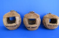 Wholesale Carved Coconut Birdhouse with Black carved birds - 6 pcs @ $2.75 each